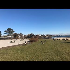 Meet your Posher, Karina